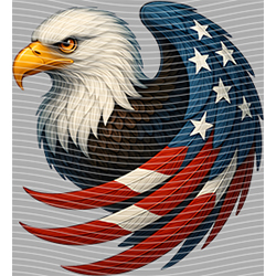 USA-MG 3564